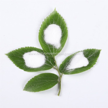 Sodium Hydrosulfite Sodium Hydrosulphite 90% Plant